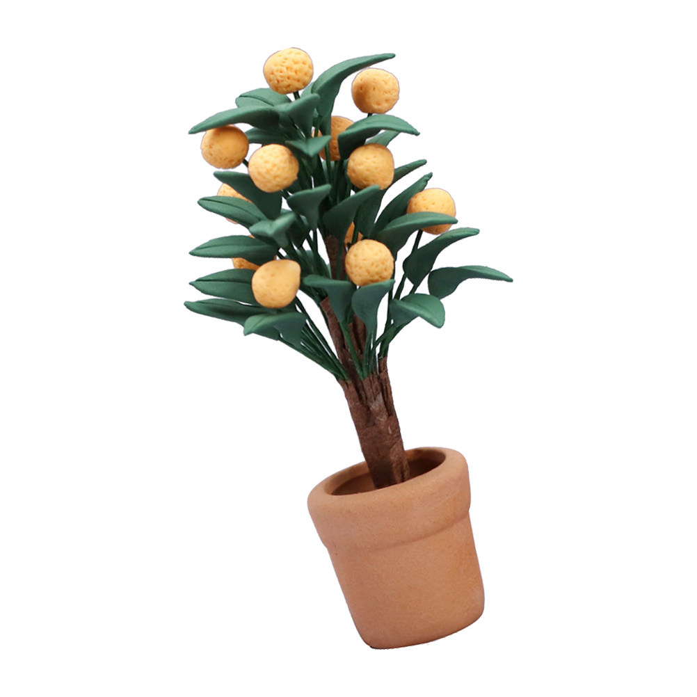 Bonsai Garden House - Miniature d'arbre de Kumquat en pot,