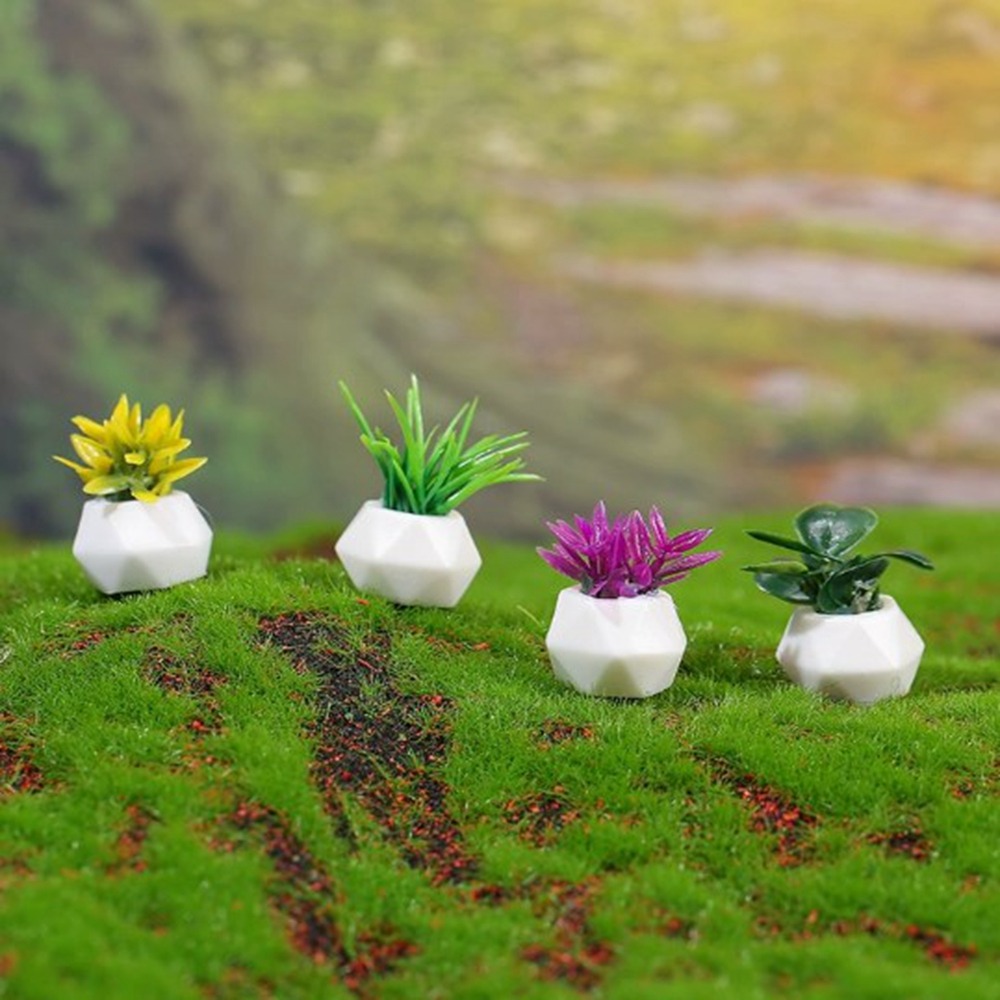 Bonsai Garden House - Plante Miniature en Pot pour maison