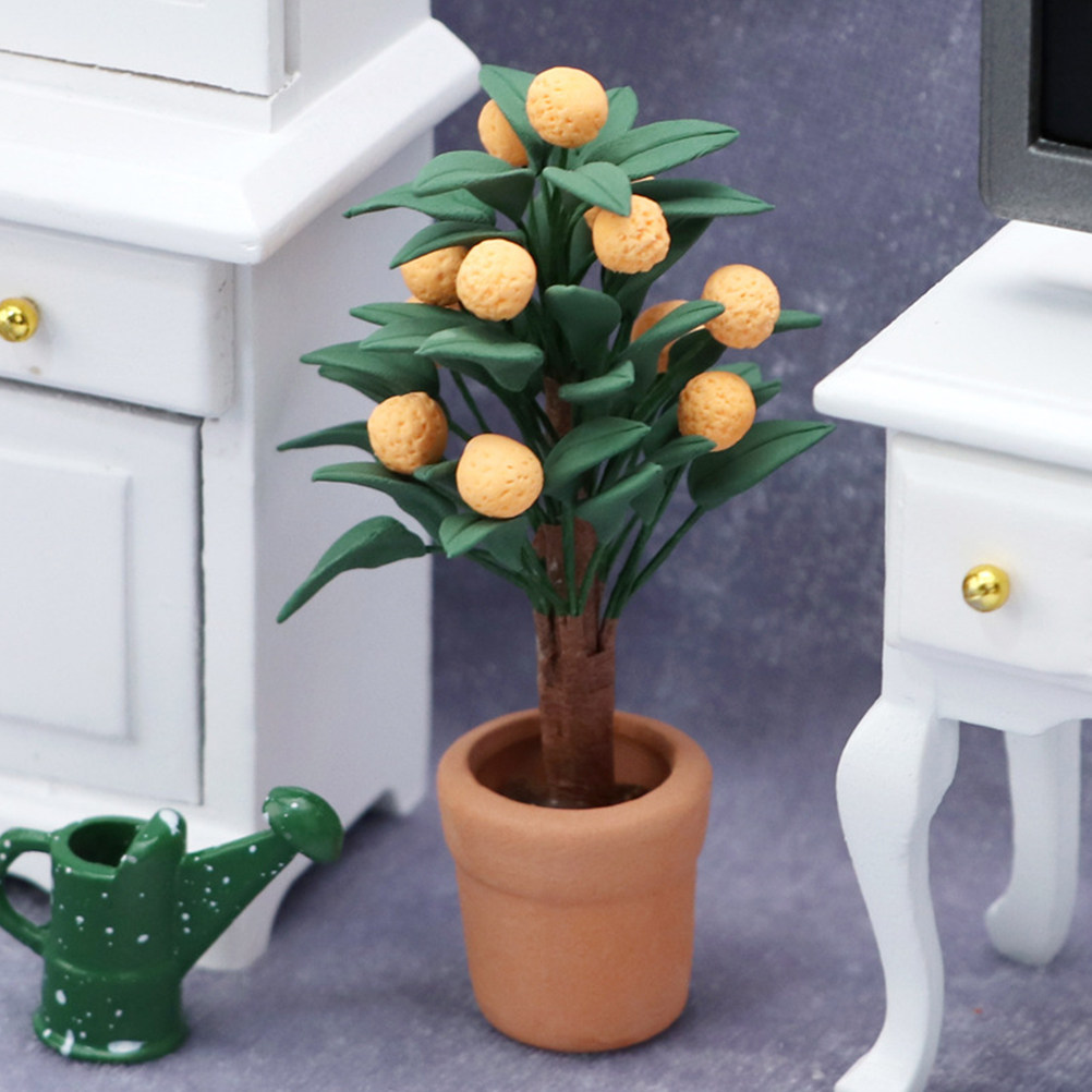 Miniature d'arbre de Kumquat e - Bonsai Garden House avis et prix