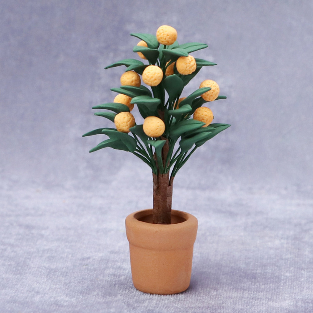 Miniature d'arbre de Kumquat e - Bonsai Garden House avis et prix