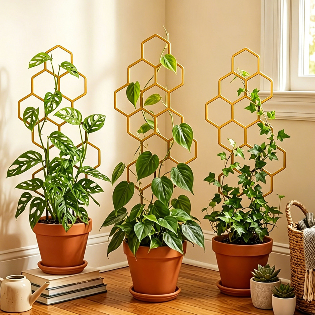 Support hexagonal à deux nivea - Bonsai Vertical Garden avis et prix