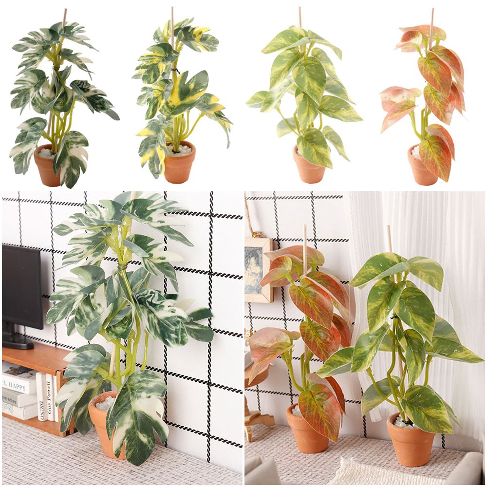 Modèle de scène de bonsaï créa - Bonsai Garden House avis et prix