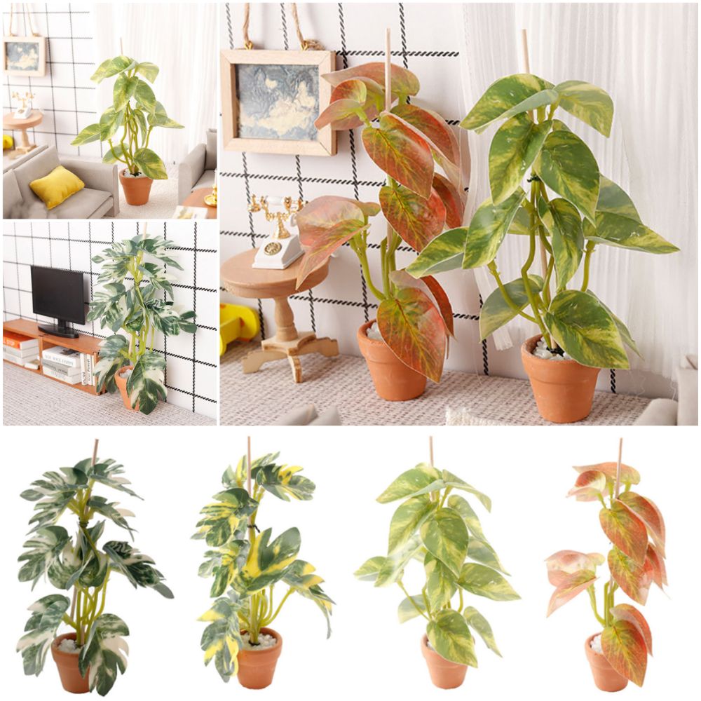 Modèle de scène de bonsaï créa - Bonsai Garden House avis et prix