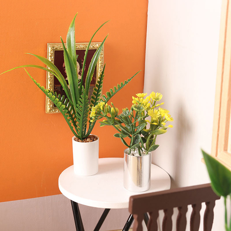 Plante Miniature en Pot pour m - Bonsai Garden House avis et prix