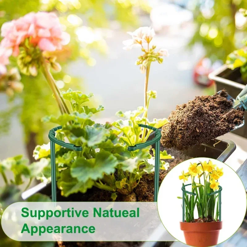 Support de plante de jardin en - Bonsai Garden House avis et prix
