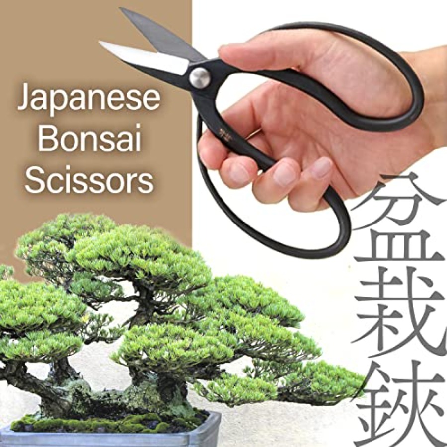 Ciseaux à bonsaï japonais Suir - Bonsai Garden In Japan avis et prix