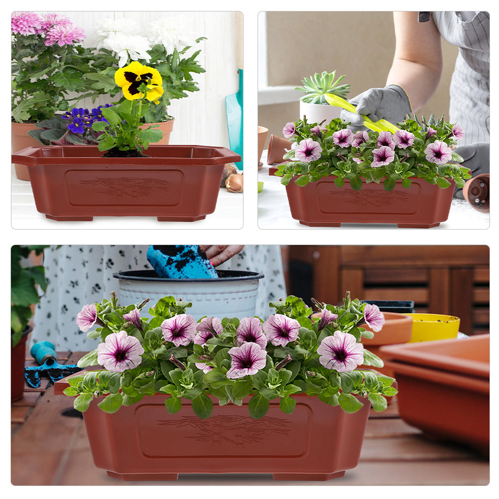 6 pots à bonsaï en plastique a - Bonsai Vertical Garden avis et prix