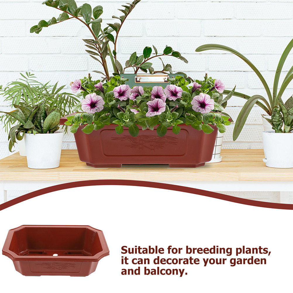 6 pots à bonsaï en plastique a - Bonsai Vertical Garden avis et prix