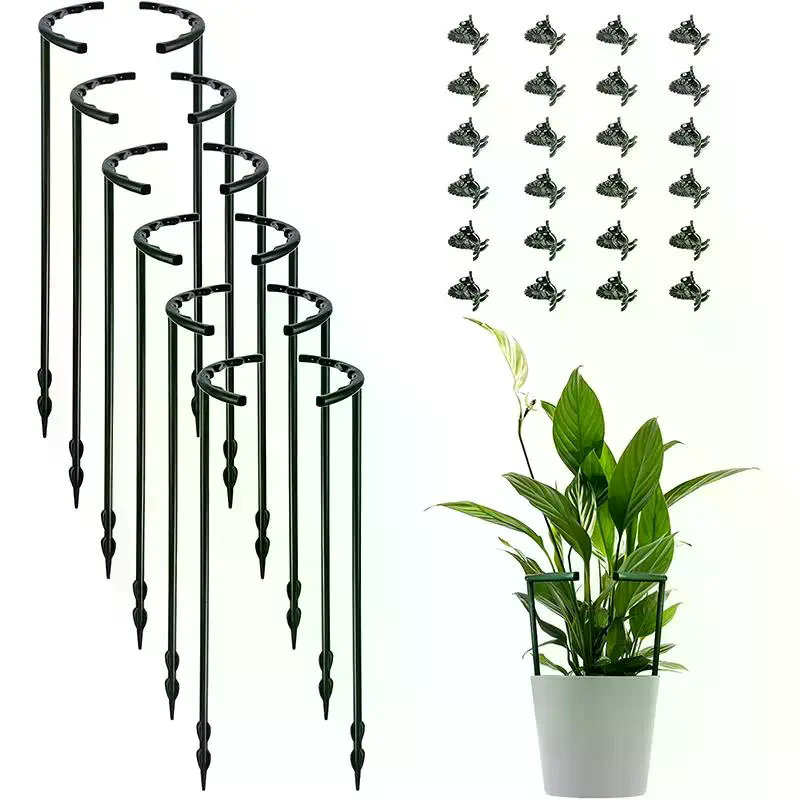 Cage de soutien pour plantes,  - Bonsai Garden House avis et prix