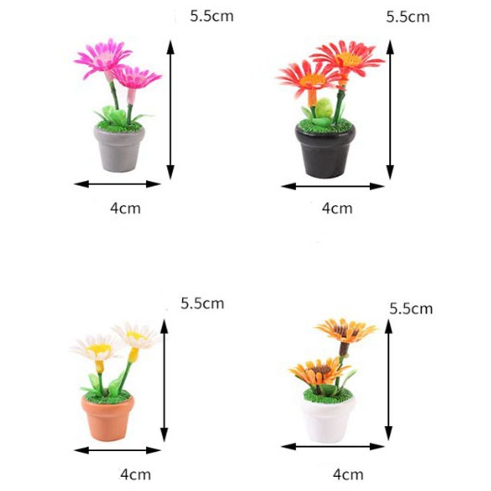 Plante Miniature en Pot pour m - Bonsai Garden House avis et prix
