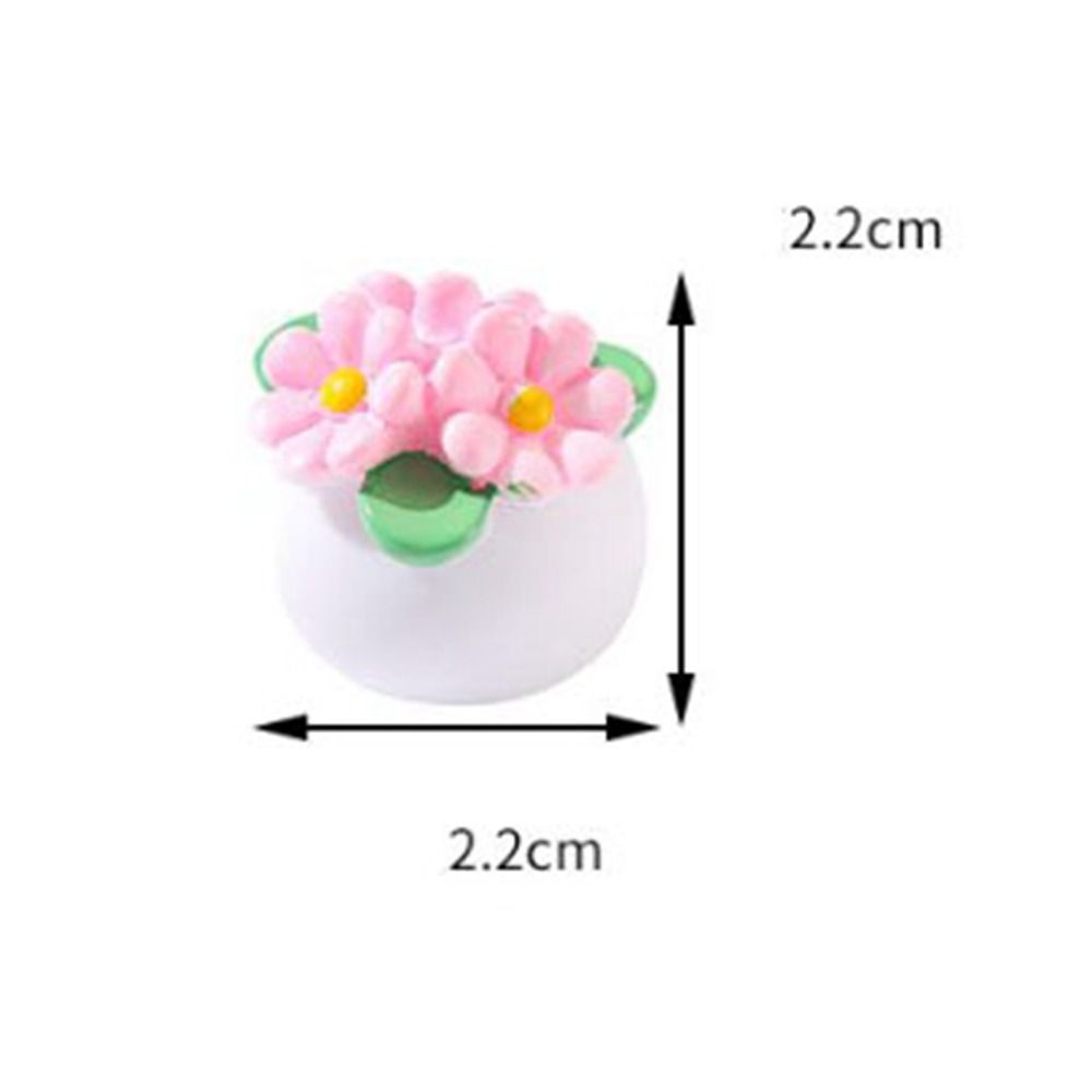 Plante Miniature en Pot pour m - Bonsai Garden House avis et prix