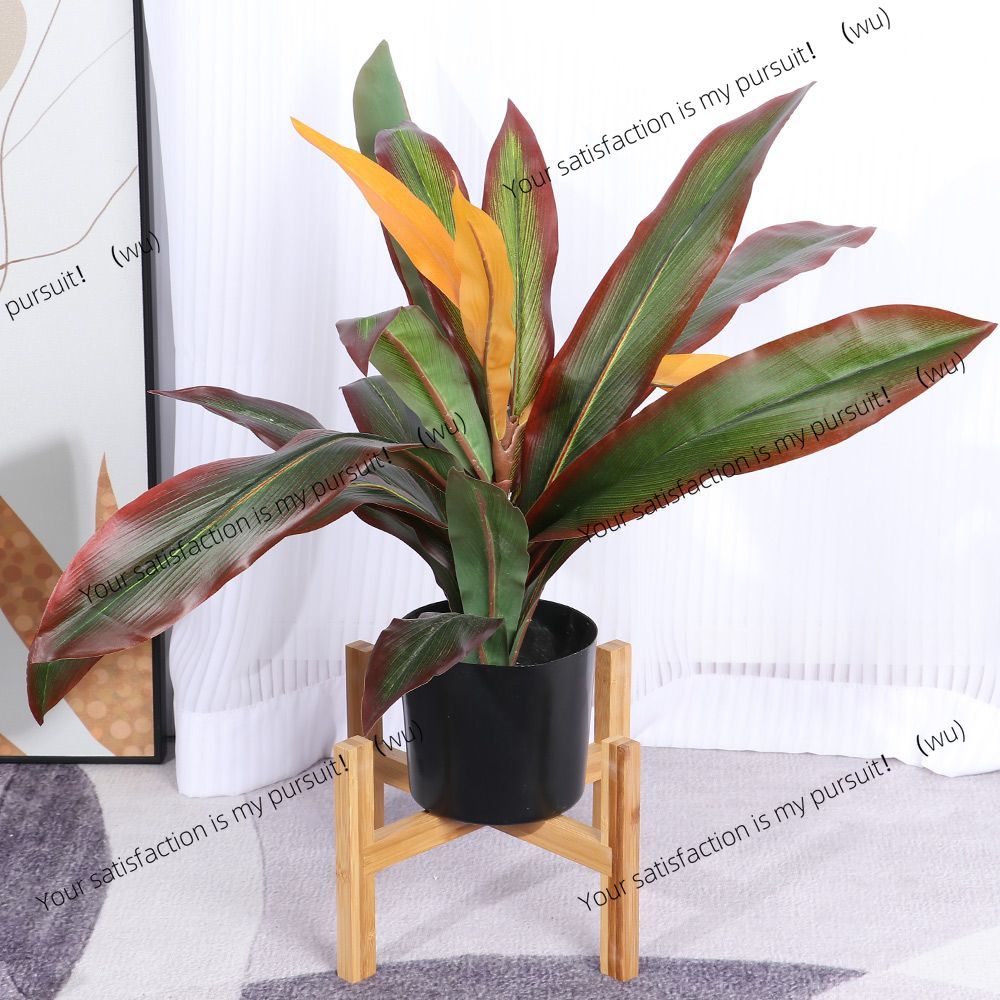 Présentoir vertical en bois po - Bonsai Vertical Garden avis et prix