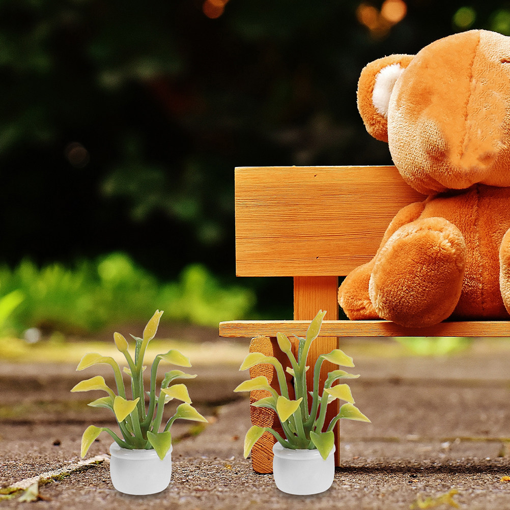 9 Pièces de Plantes Miniatures - Bonsai Garden House avis et prix