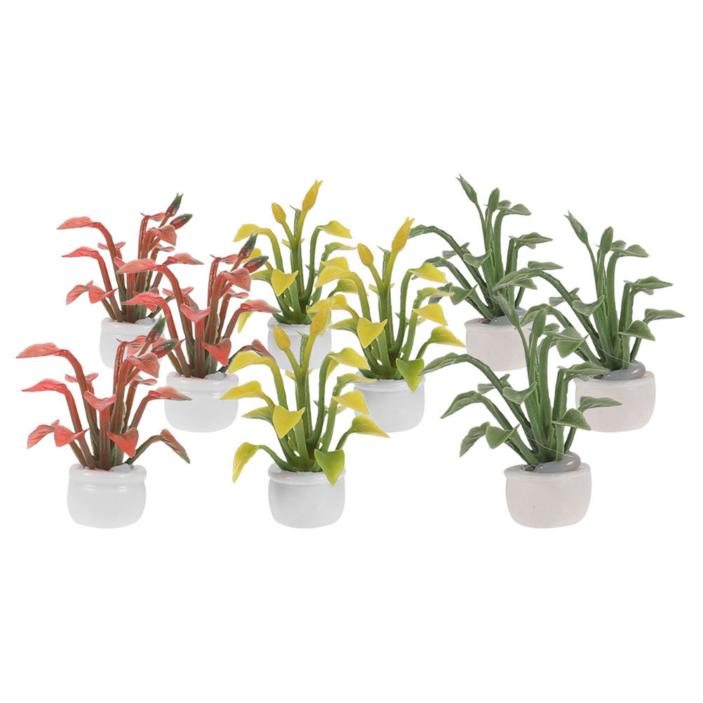 9 Pièces de Plantes Miniatures - Bonsai Garden House avis et prix
